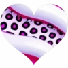 Corazones💞10🇵🇪Movi 16