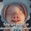 Soy un puerco decente respétame!