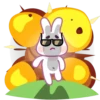 Bunny mov 19