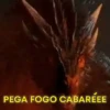 PEGA FOGO CABARÉEE