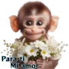 Para ti Mi amor