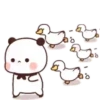 🌈🐼BuBu & DuDu🐻(82)✨ 12