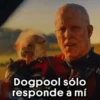 Dogpool sólo responde a mí