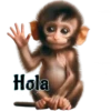 Hola