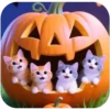 Halloween Cute💞5🇵🇪Movi 19