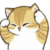 😻 gatitos cuteness 🐈 10