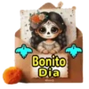 Bonito Dia Linnos
