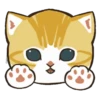 😻 gatitos cuteness 🐈 14