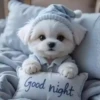 Perritos Cute ✺4🇻🇪Mov 20