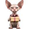 Gato egipcio💞1🇵🇪Movi 23