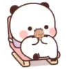 🌈🐼BuBu & DuDu🐻(82)✨ 15