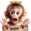 WOW