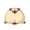 Perro💞Rellenito de amor🇵🇪Mo 21
