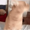 🌈🐈Reaccion Gatos Pal Chat🐈🌈 18