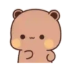 🌈🐼BuBu & DuDu🐻(82)✨ 17