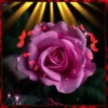 Her.Flores 2  👩🏻‍🎨 Mov.1712 26