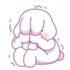 Bunny mov 24