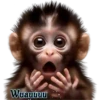 Wuauuuu