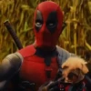 🐕 Dogpool ⚔ Deadpool ⚔ Wolverine 7