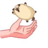 Perro💞Rellenito de amor🇵🇪Mo 23