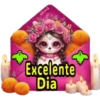 sinnos Excelente Dia