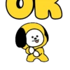 🩷OK🩵 26
