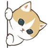 😻 gatitos cuteness 🐈 12