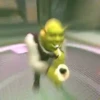 Shrek BuGaDo 6