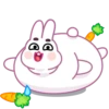 Bunny mov 26