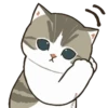 😻 gatitos cuteness 🐈 11