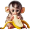 Monitos🐒💞2🇵🇪Movi 29