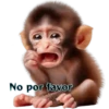 No por favor
