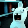 Rabbids 2 💖MOV 21