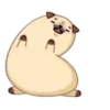 Perro💞Rellenito de amor🇵🇪Mo 27
