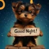Good Night!
