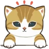 😻 gatitos cuteness 🐈 15