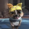  💫 Perrito gato con botas ❣️ 16