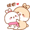 Kelinci gemoy 6