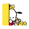 Pochacco 19