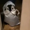 🎵 TIKTOKeando 25🎵 6