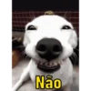 Não