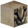 🐈‍⬛GIF-s FLOPPA-s🦎 7
