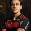 Pedro Flamengo 🗿 17