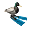 лучшее из SHITPOST 10