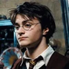 Harry Potter 20