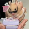 Animalito gracioso 17