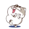 Gatitos divertidos😂 5