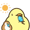 Anak ayam GIFs 10