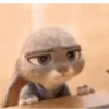 Zootopia GIFs 19