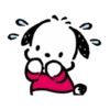 Pochacco 12